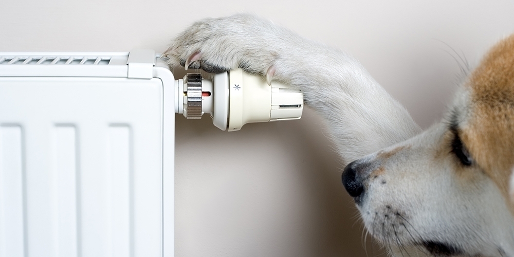 Getting your home ready for winter