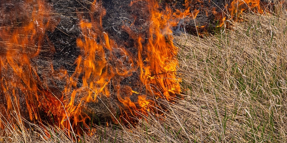 Help prevent home fires and wildfires this summer